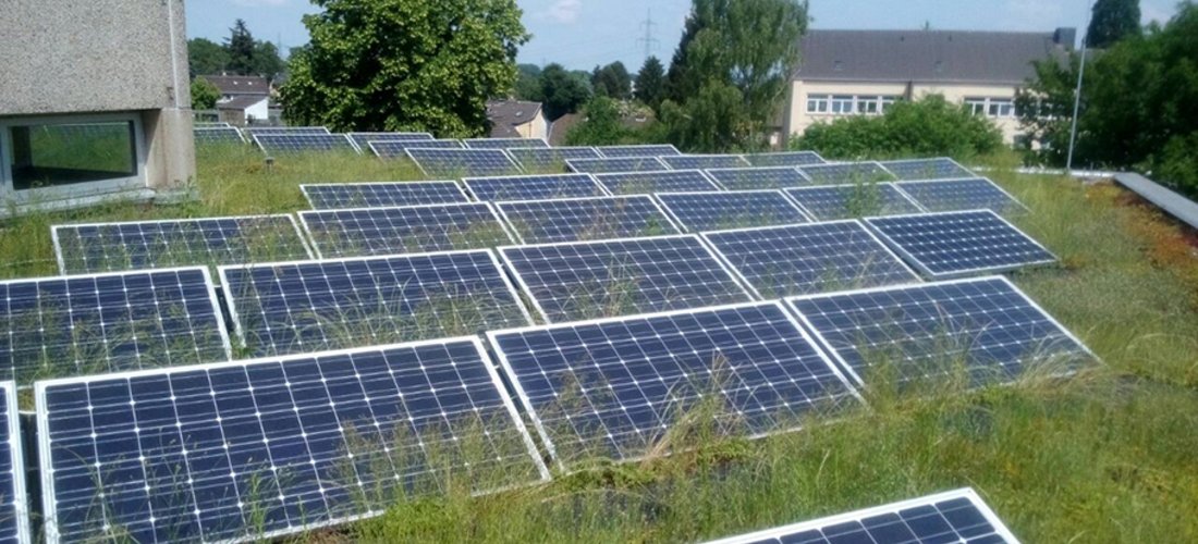 Solarpaneele auf dem Gründach der Schule in Hürth erzeugen Strom (Foto: Energiegewinner eG)