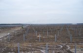 Montage der Solarpaneele im Solarpark Turnow-Preilack wird vorbereitet (Foto: SUNSELEX AG)