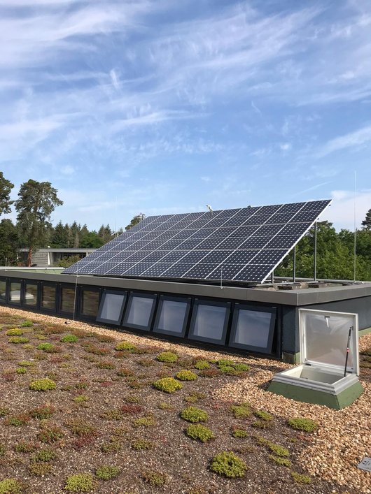 Solarmodule auf dem Dach der Schule in Karlsruhe (Foto: Europäische Schule Karlsruhe)