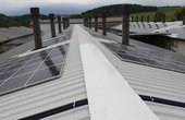 Mit der Solarstromanlage will der Landwirt des Hofes seinen hohen Stromverbrauch und damit die Betriebskosten der Schweinezucht senken. Foto: Delta