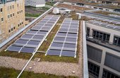 Gründach mit Solarmodulen auf Berliner Schule (Foto: Mathias Völzke)