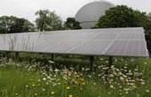 Eine Bienenwiese und Solarmodule sorgen für mehr Umweltschutz in Konstanz (Foto: Stadtwerke Konstanz GmbH)
