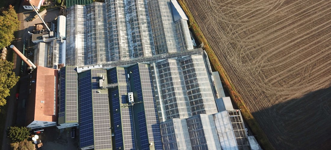 In nur 4 Tagen wurde die Solaranlage mit einer Leistung von 200 kWp auf einem Pflanzenzuchtbetrieb in Bremen installiert. (Foto: Hanwha Q CELLS GmbH)