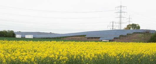 Hier sehen Sie die Solarmodule auf der Freifläche in Alsbach-Hähnlein (Foto: Marc Fippel)