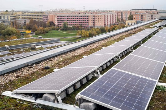 Gründach mit Solarmodulen auf Berliner Schule (Foto: Mathias Völzke)